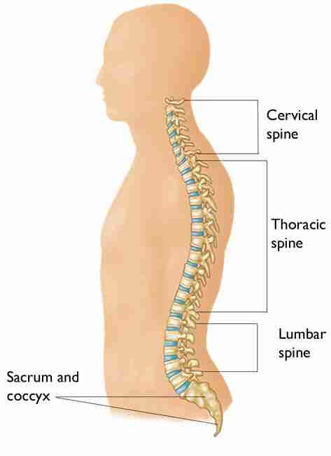 Radiculopathy VA Rating